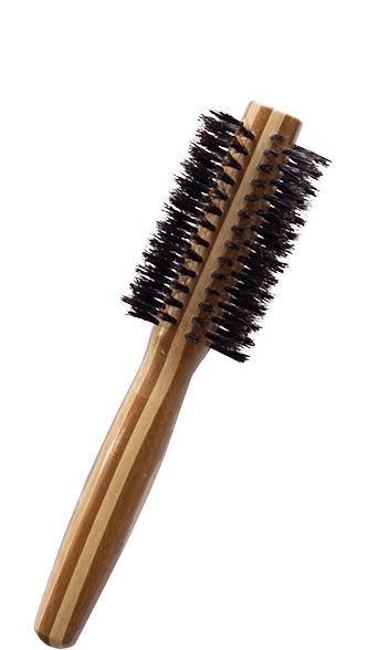 Cosmetology and barber program tool