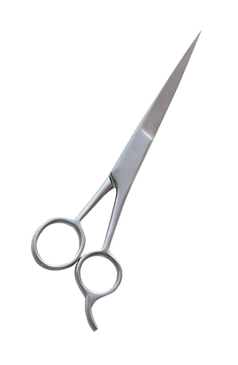 Cosmetology and barber program shears
